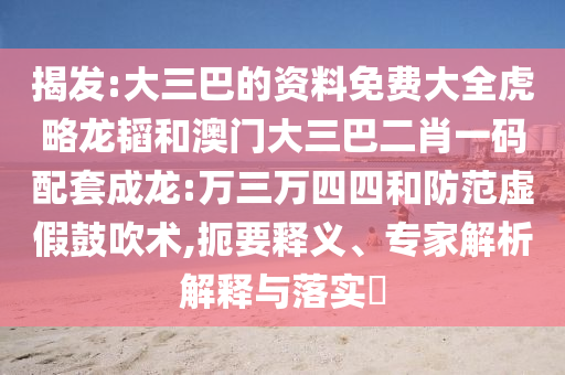 揭发:大三巴的资料免费大全虎略龙韬和澳门大三巴二肖一码配套成龙:万三万四四和防范虚假鼓吹术,扼要释义、专家解析解释与落实